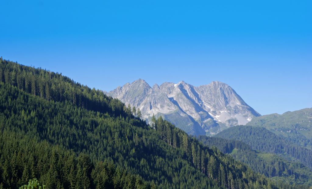 Gasthof Riederhof ゲルロス 部屋 写真
